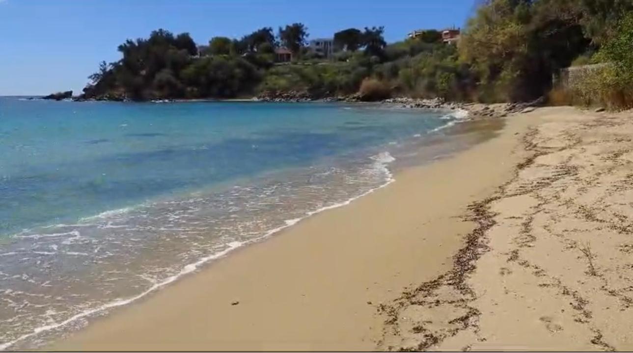 Olivia -Ελιά Διαμέρισμα PalaiónTsiflíkion Εξωτερικό φωτογραφία